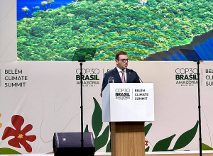 Մեր ջանքերի հիմքում «Կլիմայի մասին» համապարփակ օրենքի ընդունումն է․ ԱԳ փոխնախարար