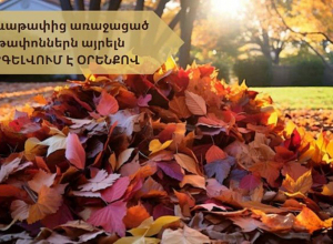Տերևաթափից առաջացած թափոններն այրելն արգելվում է օրենքով