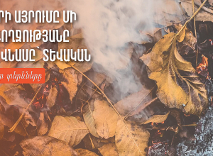 Չոր տերևների այրելու արդյունքում օդում առաջանում է վնասակար նյութերի մեծ քանակ, որը վտանգավոր է առողջության համար