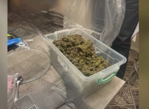 Առգրավվել է մեծաքանակ մեթամֆետամին և մարիխուանա