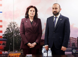 Զրուցակիցները քննարկել են ԺՀՄԻԳ-ի հետ փոխգործակցության հիմնական ուղղությունները