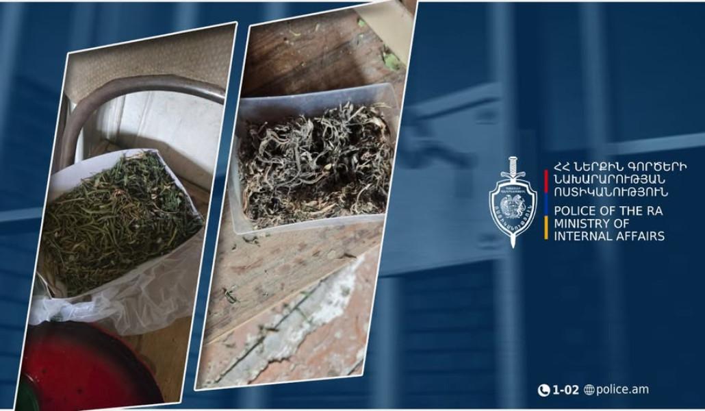 594400886_1237599431726740_139984404044789470_n (1)