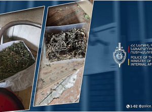 Հայտնաբերվել է մեկ կիլոգրամից ավելի չոր զանգված և կանեփի ճյուղեր