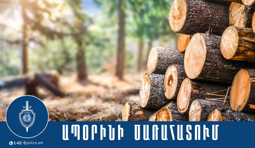 593541820_1237620381724645_5389084003302916376_n