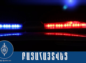 Անասնագոմից գողացել էին 30 գլուխ ոչխար