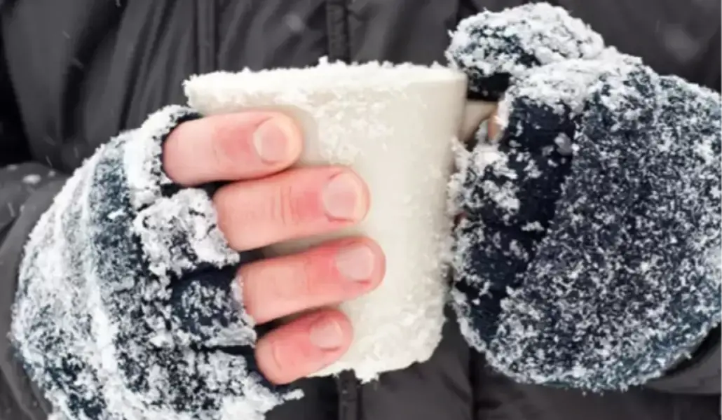 ffaf23e078bb4c022393703285b40499_1766038034