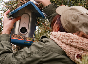 Ucom-ի աջակցությամբ «Արևորդի» ՀԿ-ն իրականացնում է «Խելացի թռչնադիտարկում» կրթական ծրագիրը