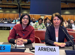 Հայաստանը Ժնևում ներկայացրել է փախստականների աջակցության իր փորձն ու ձեռքբերումները