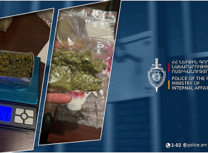 Ապօրինի թմրաշրջանառության դեպք է բացահայտվել