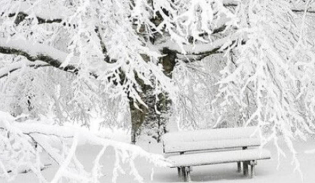 610708850_911947894519004_5562201771137499616_n