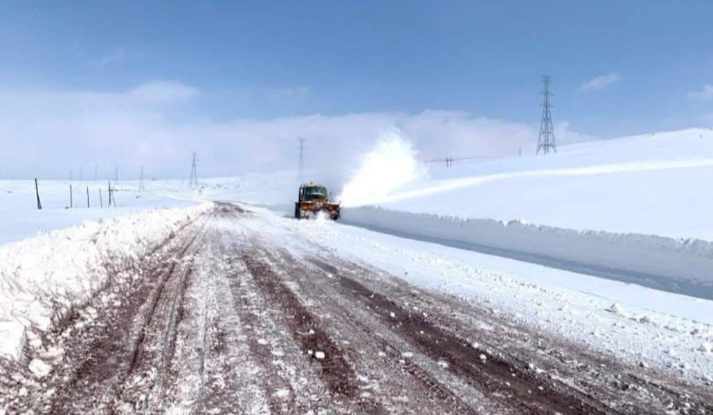 photo_2026-01-08_17-03-30