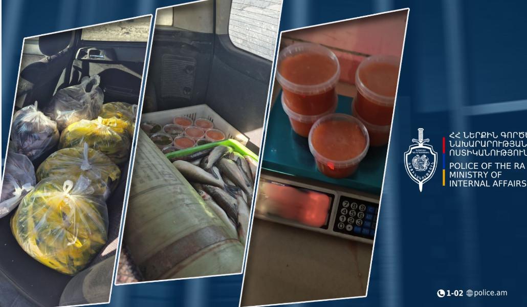 616740049_1273166314836718_3499985731267665086_n