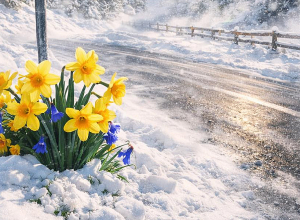 Քամու ուժգնացումները և բուքը դեպի երեկո աստիճանաբար կդադարեն