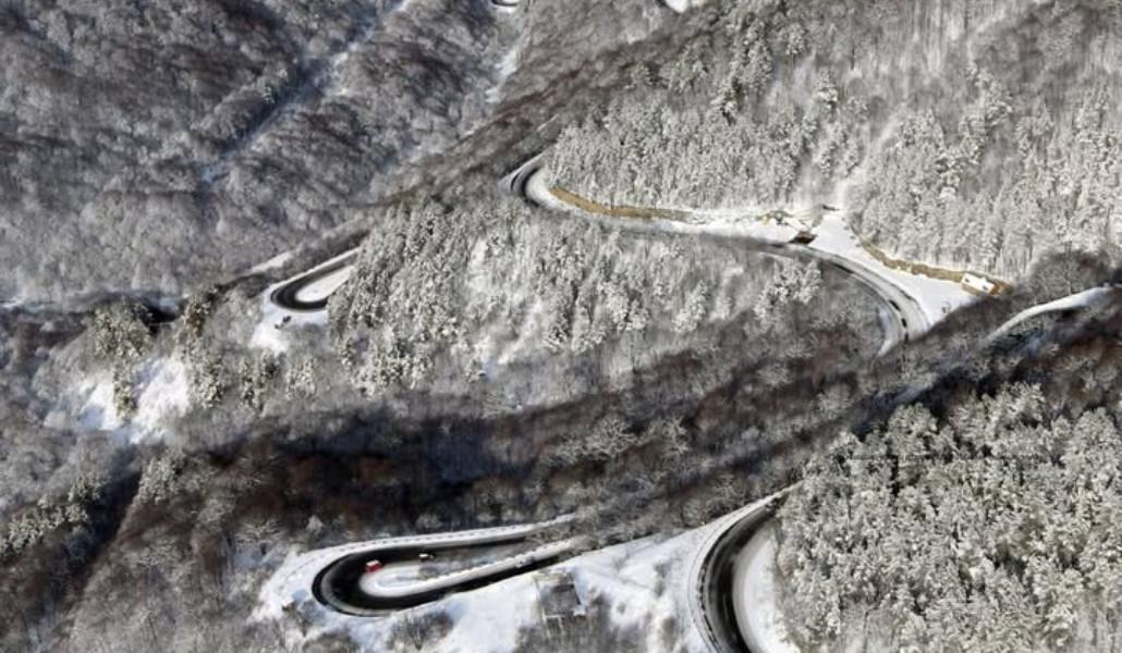 photo_2026-01-26_09-05-04