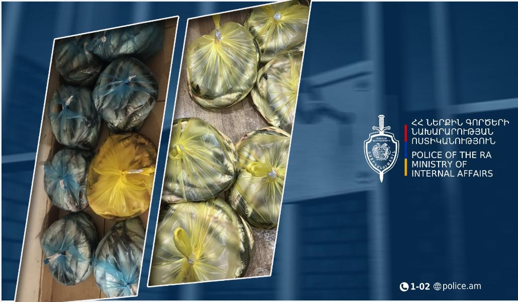 623396215_1279064614246888_8789777029546421018_n