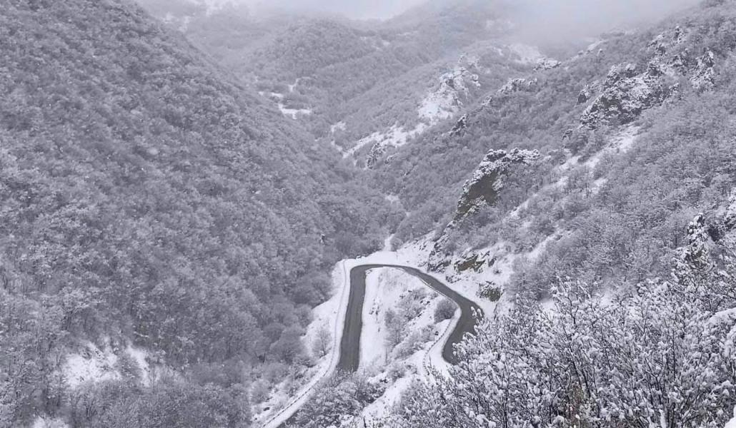 photo_2026-01-29_19-36-15