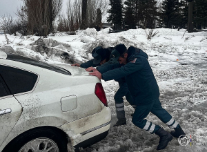 Արգելափակումից դուրս է բերվել 113 տրանսպորտային միջոց