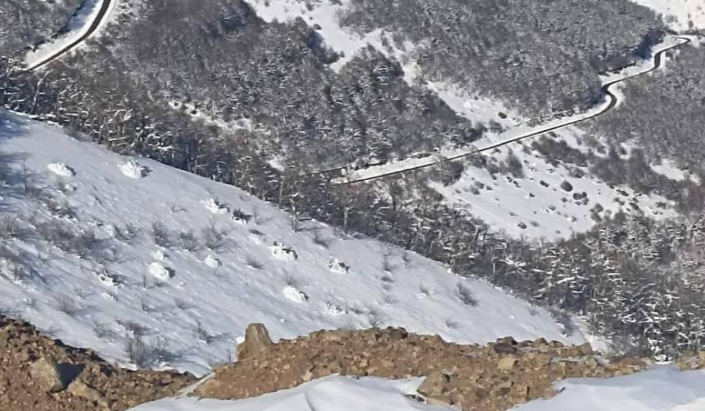 photo_2026-02-08_17-11-53