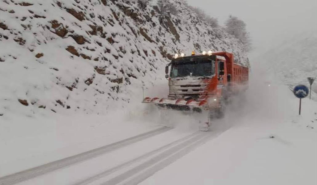 photo_2026-02-11_19-45-02