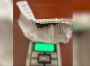 Առգրավվել է հալյուցինոգեն սնկերով հարյուր փաթեթ