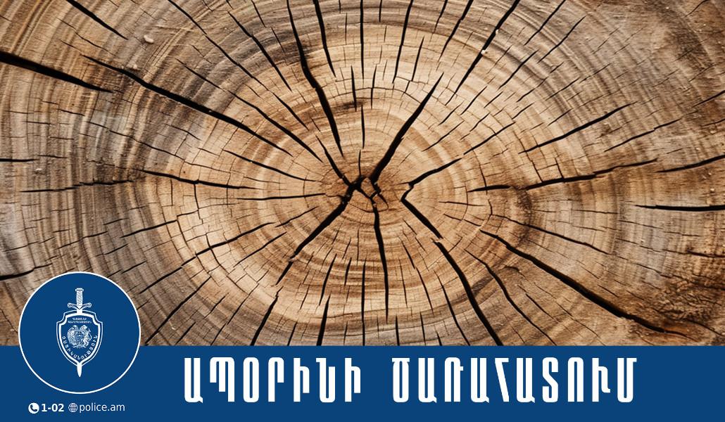 634455768_1294640162689333_7548499019713902952_n