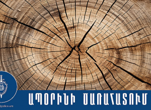 Ծառահատման դեպք է բացահայտվել