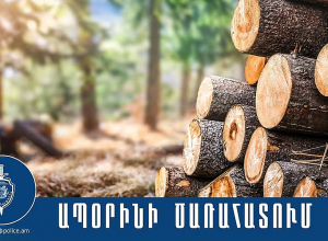 Անտառապետը ձերբակալվել և ներկայացվել է նախաքննական մարմին