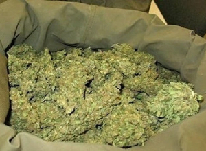 Առգրավվել է 1 կգ 150 գրամ մարիխուանա