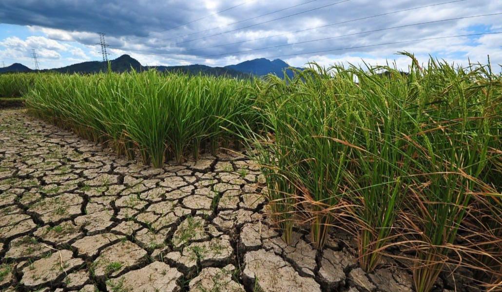 637708258_10225515275909003_1165754736651049554_n