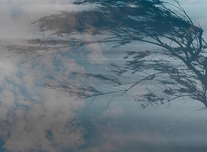 Սպասվում է քամու ուժգնացում․ խուսափել ծառերի, էլեկտրասյուների և թույլ ամրացված կառուցվածքների մոտ գտնվելուց․ զգուշացում