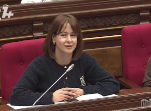 Մարդ, որ Շրի Լանկայից 1 ամիս ա լողազգեստով նկար է հրապարակում, կարո՞ղ է չէ տոմս առնել․ Միրզոյան