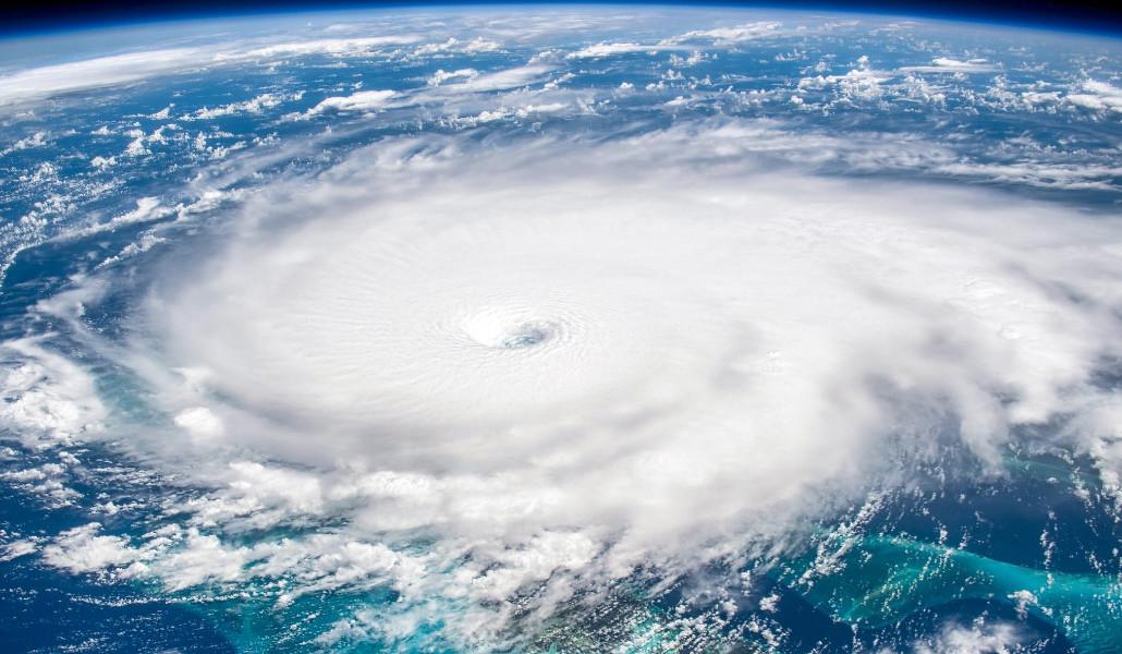 potorik-e1719397794297