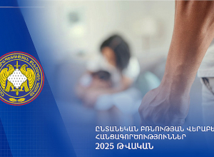 2025-ի ընթացքում ընտանեկան բռնության դեպքերի վերաբերյալ քննվել է 2.398 քրեական վարույթ․ ՔԿ