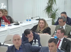 Ես պատրաստ եմ միջնորդել «Թափառող կենդանիների» ՀՈԱԿ-ում ընդունեն պարոն Մարությանին․ Անի Խաչատրյան