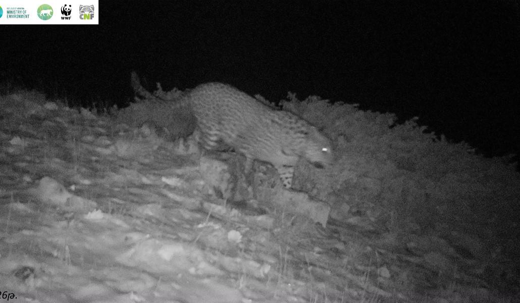 651914551_1271301691857864_3208489084945098298_n