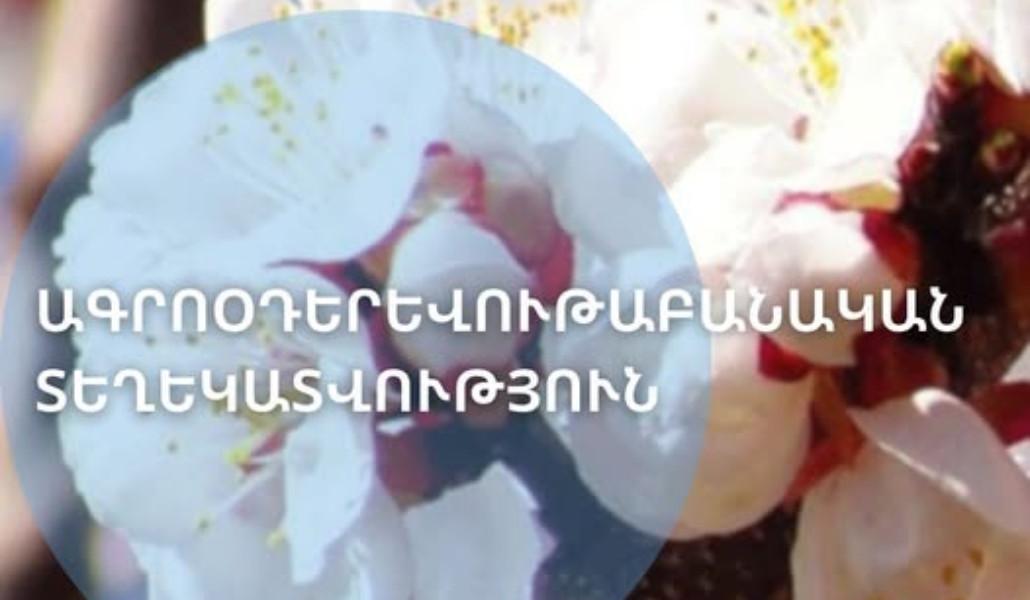 659801778_980688137644979_5707098963146589281_n