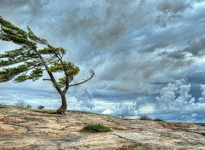 «Ապրիլի 8-10-ը սպասվում է քամու ուժգնացում․ եղե՛ք զգոն»․ Լևոն Ազիզյան