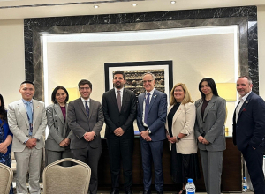 Հայ պատգամավորները Ստամբուլում քննարկել են ԹՐԻՓՓ-ը