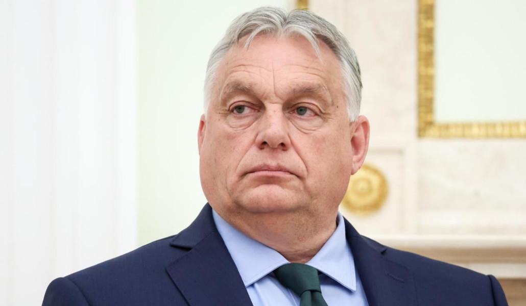 1777135463934613_TWTmgDlj