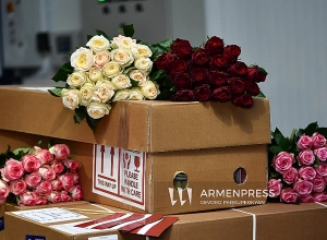 Հայաստանը 5500 վարդ է արտահանել Լատվիա