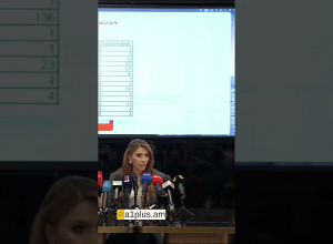 Մեկ հասցեի վրա գրանցվածների քանակը՝ 300 հոգի,216 կամ 205․ Մելոյան