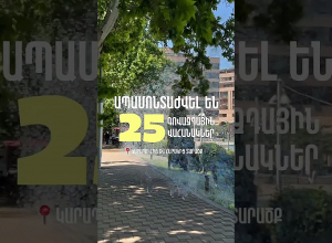 Քաղաքապետարանը Կարապի լճի տարածքից հեռացրել է 25 գովազդային վահանակ
