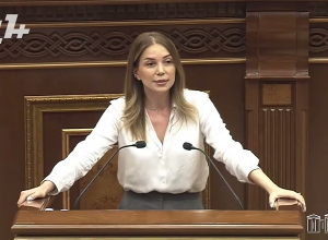 Բարեկամաբար հորդորում եմ ձեզ խոսել կոկորդիլոսների մասին. Աննա Գրիգորյանը՝ Գարիկ Սարգսյանին