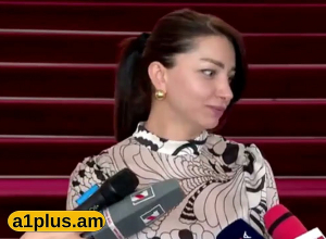 Նրան տվել են այդքան իր համար բաղձալի պաշտոնը, պատգամավորի մանդատը,  վերագրելով բոքսի տանձիկի դերը: