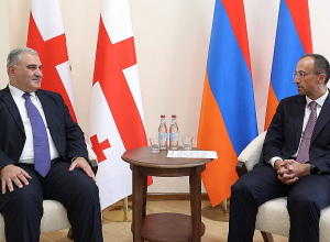 Վրաստանի առողջապահության նախարարը Հայաստանում է