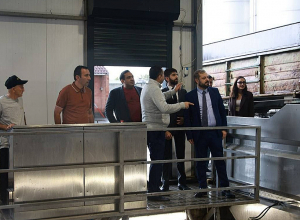 Գևորգ Պապոյանը ծանոթացել է խաղողի մթերման գործընթացին
