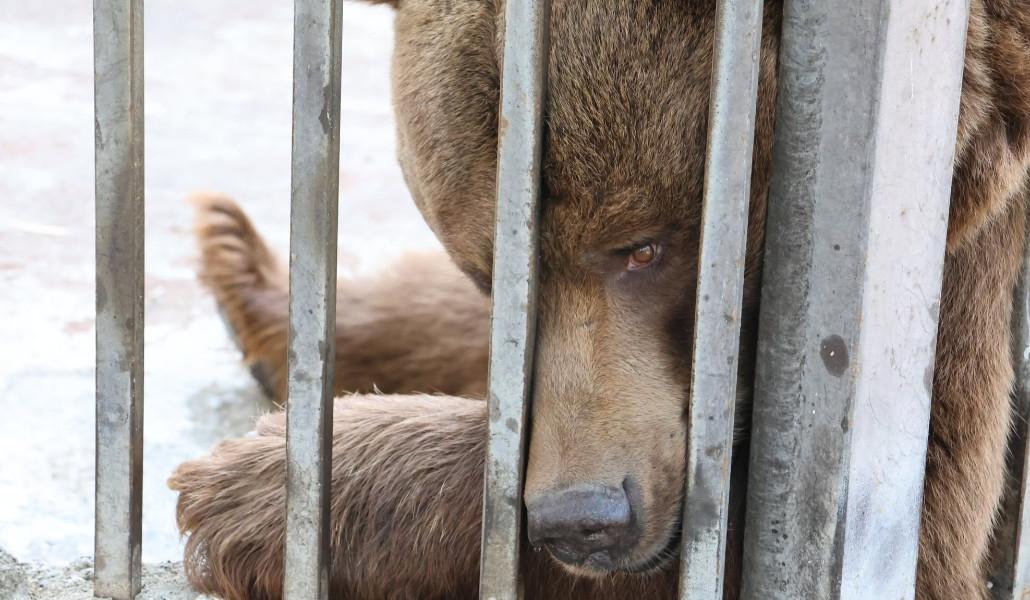 836716097_1604528098370872_4665157935474141633_n